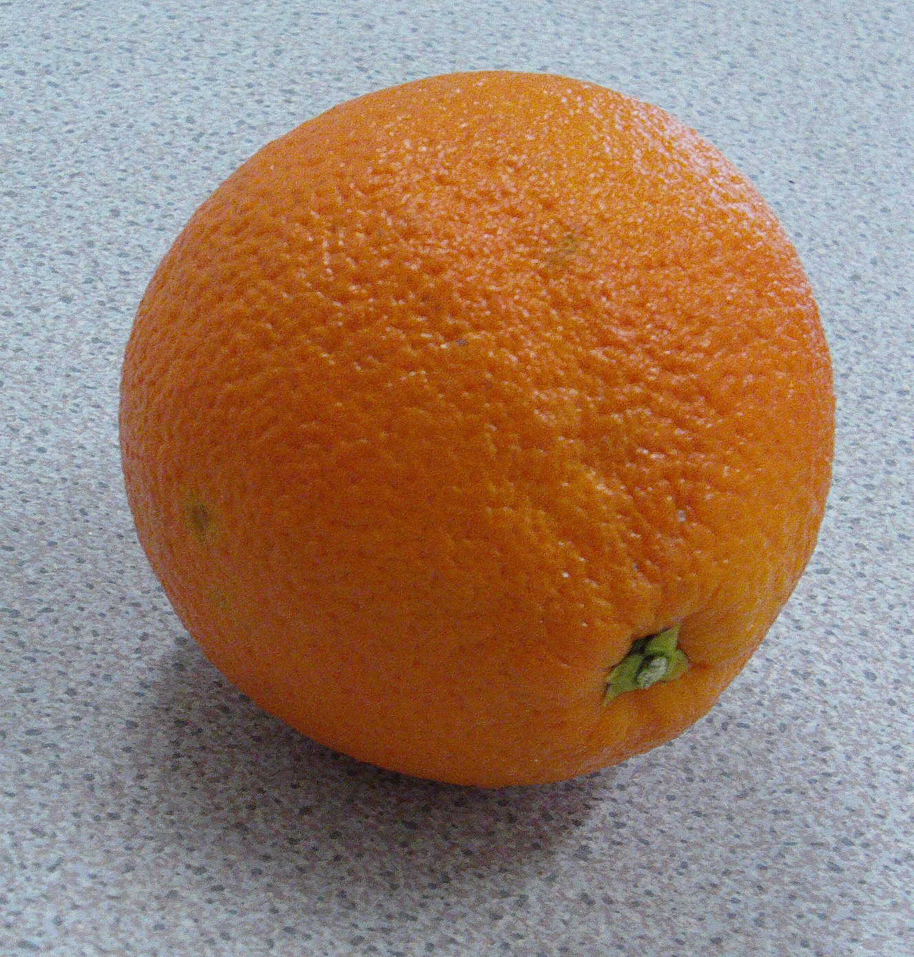 Photos of oranges - Richard North